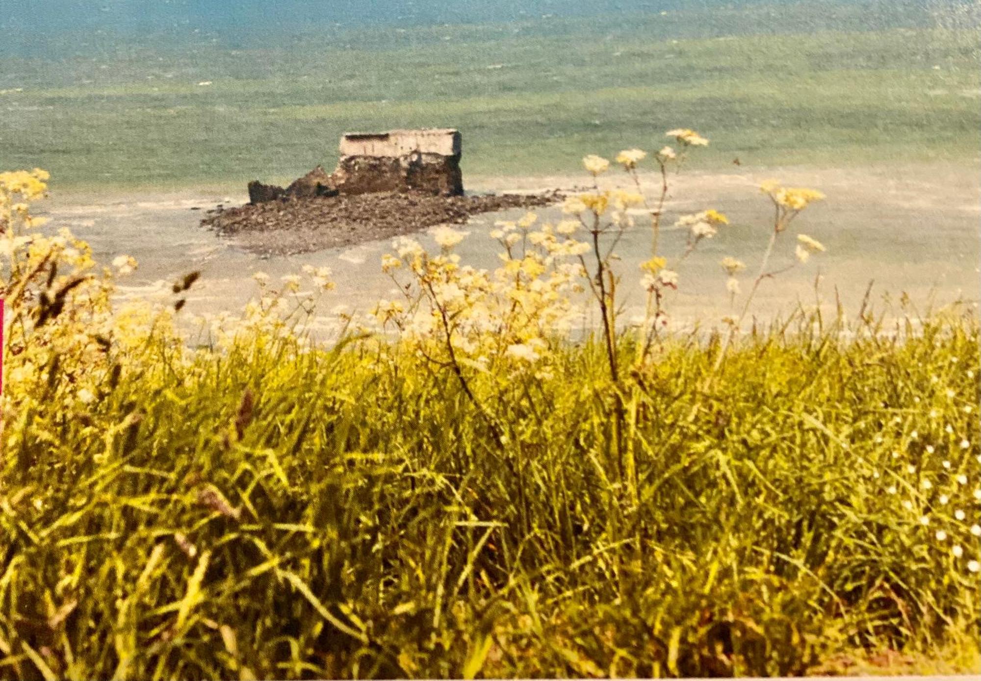 Le Brise Lame Maison Neuve A 2 Pas De La Plage Ле-Портель Экстерьер фото